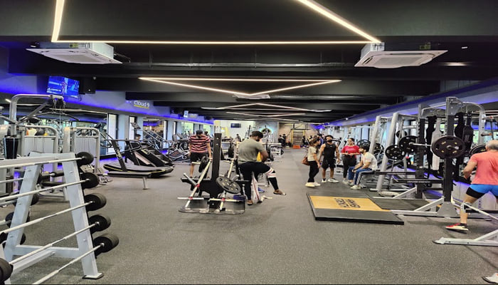 The Transformation Gym